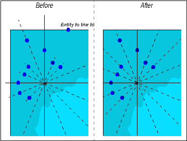 image\triment1.gif