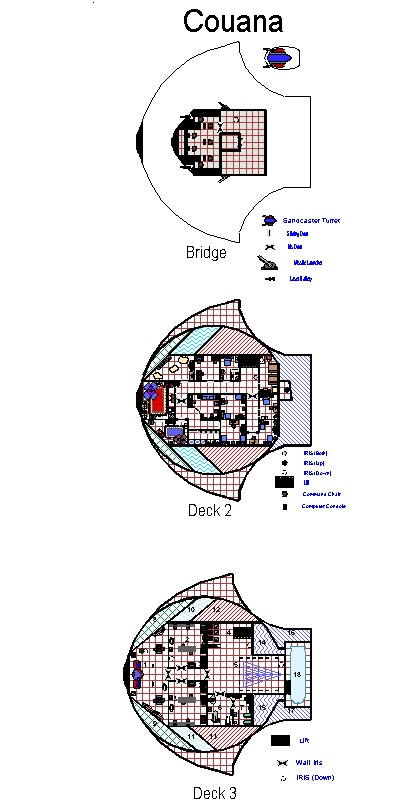 Couana Star Ship